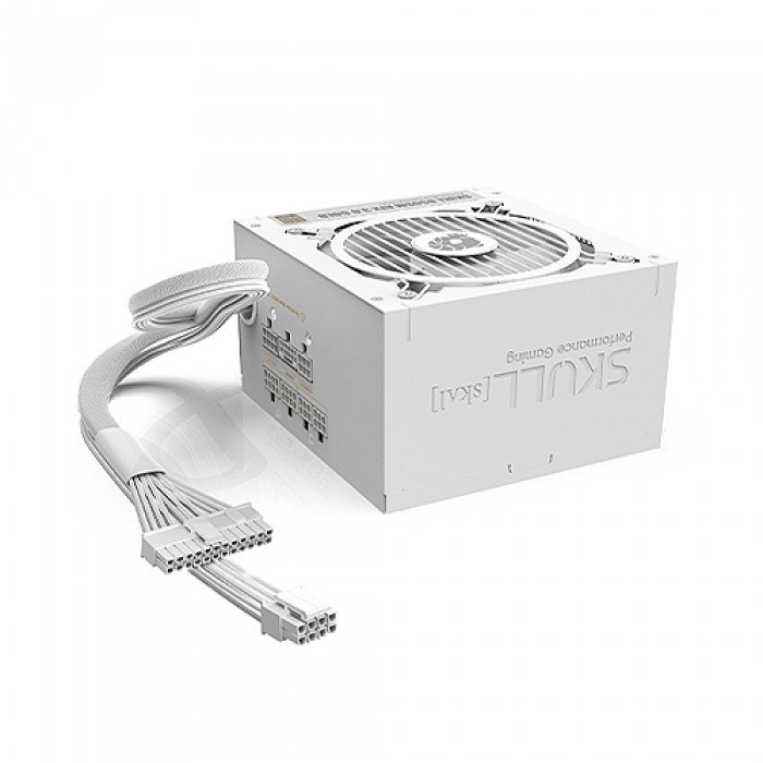 [오늘출발] NEWZEN SKULL 850SM MODULAR ATX 3.0 파워 80PLUS GOLD WHITE (PCIE5)
