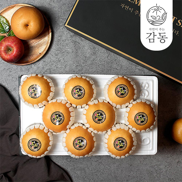 감동 [보자기동봉] 청년농부 나주배 선물세트 5kg (9-10과)