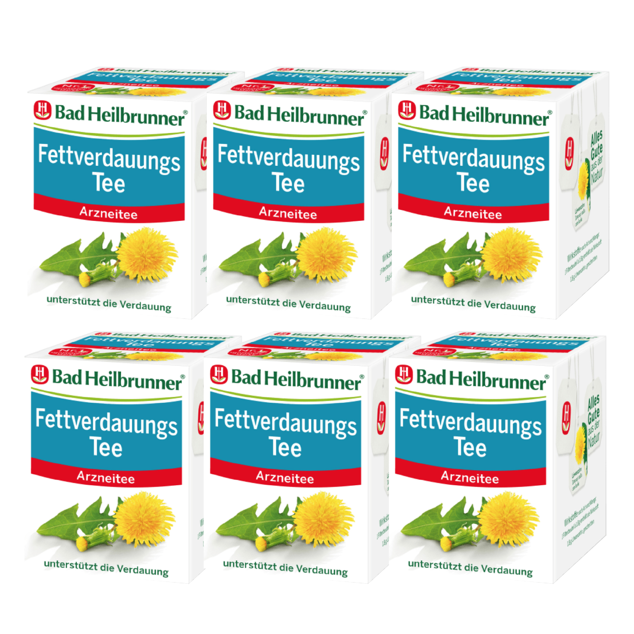 [해외] 바드하일부르너 독일 약용차 민들레 지방소화차 8티백 x 6박스 Fettverdauungs Tee