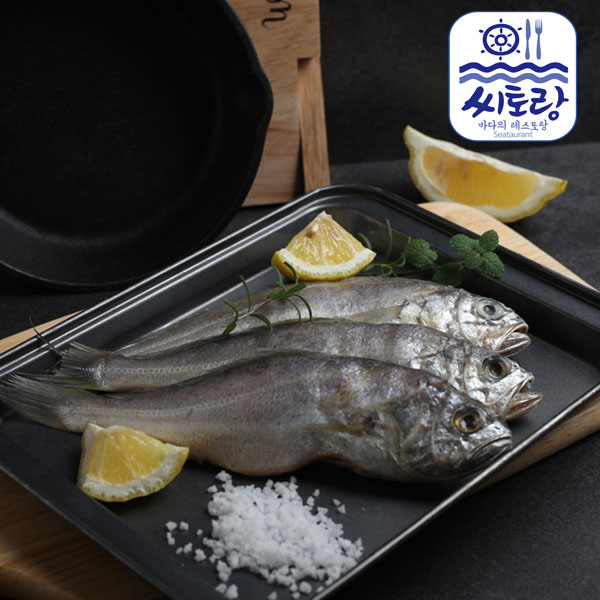 [씨토랑]영광법성포 참굴비 20미 2.2kg
