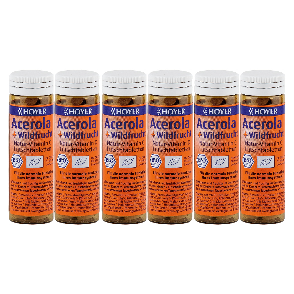 [해외] Hoyer 호야캔디 아세로라&야생과일 캔디 60정 x 6팩