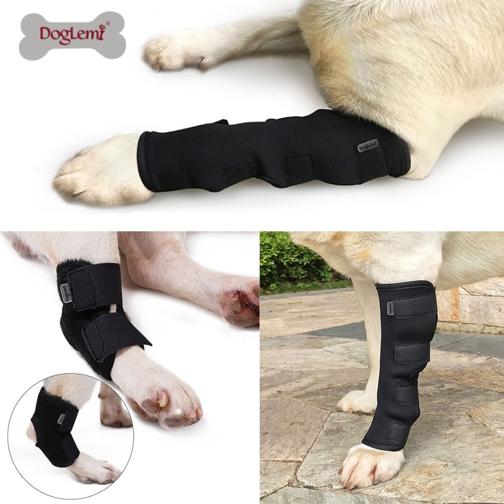 강아지 슬개골보호대 슬개골탈구 관절보호대 애견 다리 보조기 재활치료