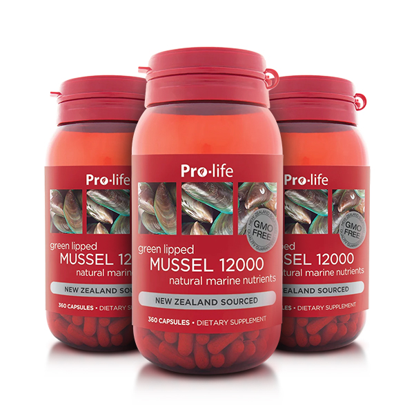 프로라이프 초록입홍합 12000mg 360정 X3
