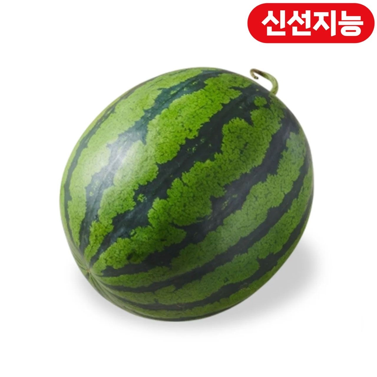 수박 (9KG이상-10KG미만/통)