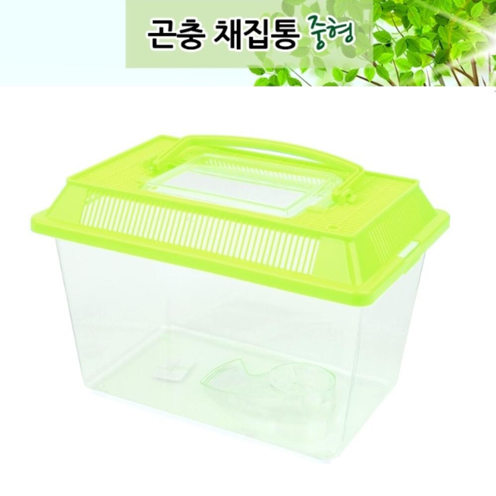 중형 투명 곤충채집통 곤충 관찰통 수집통 보관케이스 채집도구 어항