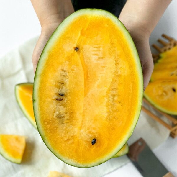 [푸드맛봄] 전북 고창 제철과일 블랙망고수박 2~3kg내외(1수)