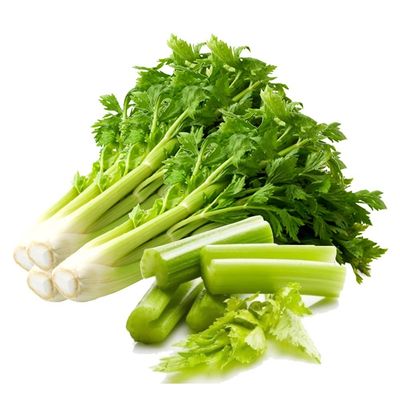 당근과 셀러리 스틱