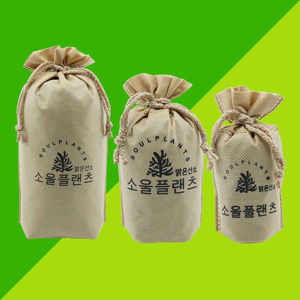 곰팡이 냄새 탈취 없애는 법
