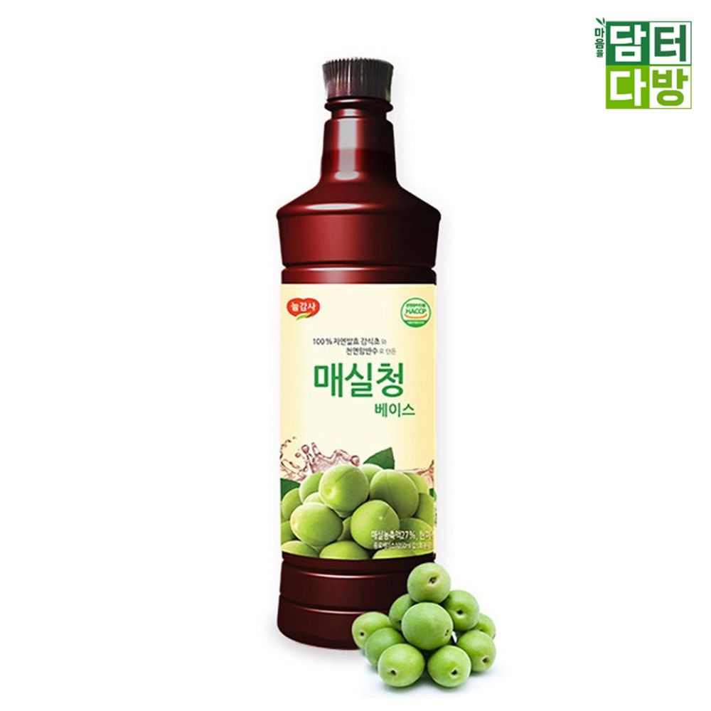 광야식품 매실청 베이스 970ml X2