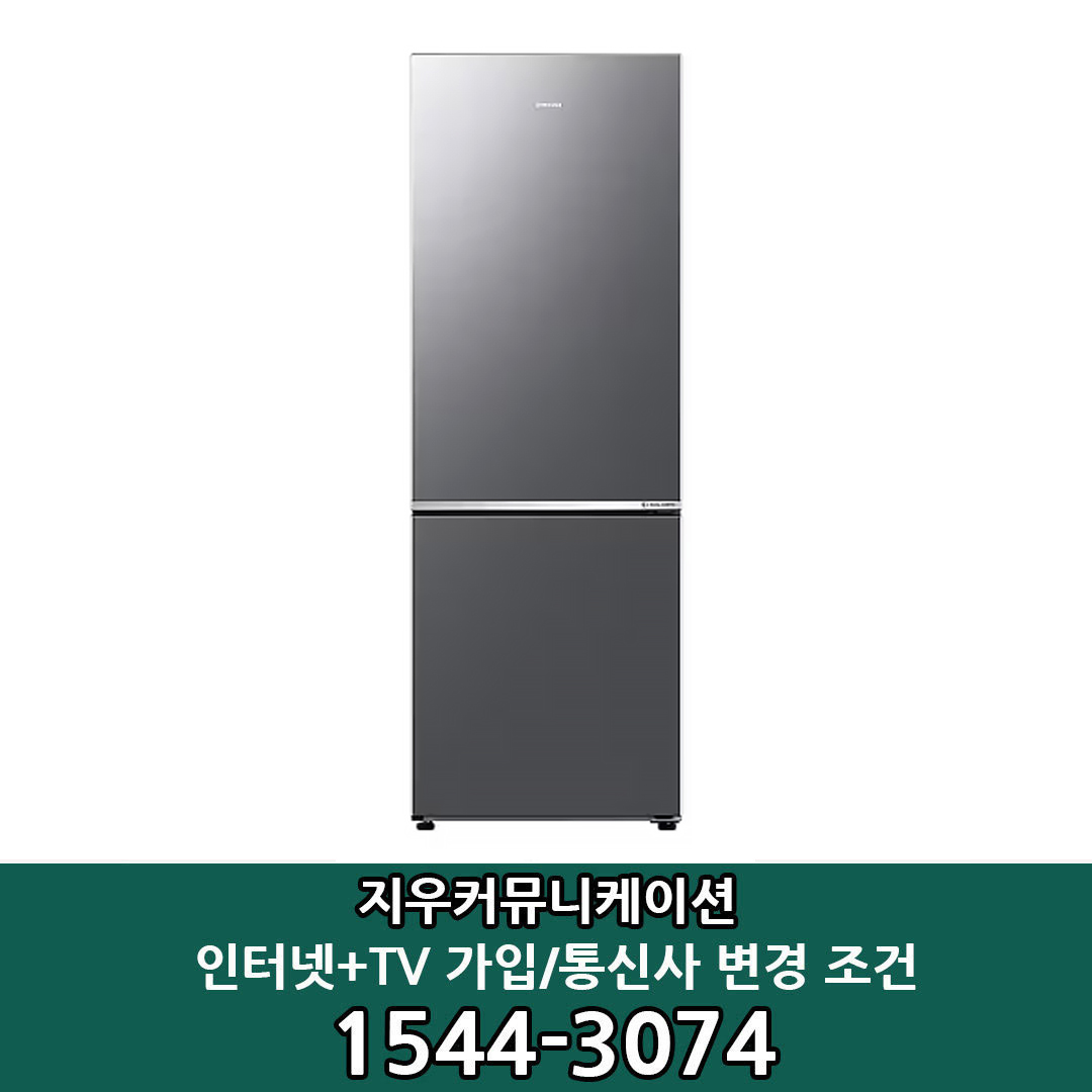 삼성전자 [KT/LG/SK] 인터넷+TV 가입시 삼성 2도어 306L 리얼메탈 일반냉장고 RB30D4051S9