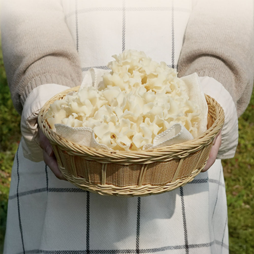 국산 꽃송이 버섯 건조 꽃버섯 선물세트 100g