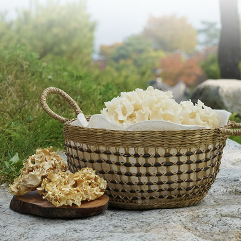 국산 꽃송이 버섯 건조 꽃버섯 선물세트 50g