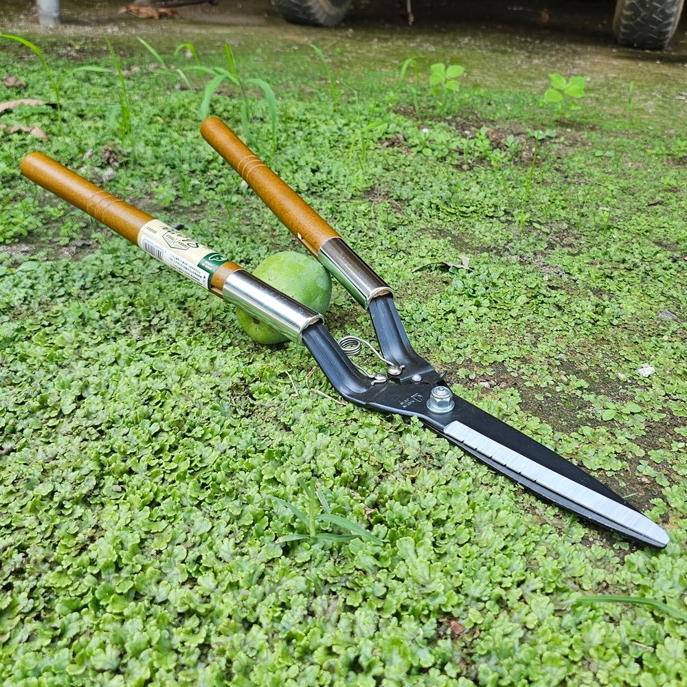 도우간 도우간 일제 잔디가위 고급형 DS003 정원 화단 제초 잡초 작업