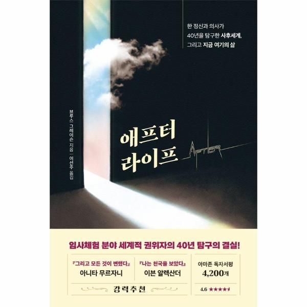 애프터 라이프 : 한 정신과 의사가 40년을 탐구한 사후세계, 그리고 지금 여기의 삶