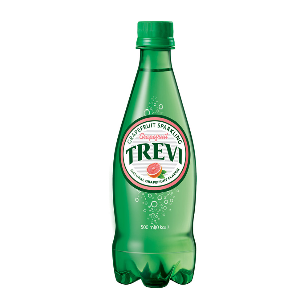 [오늘출발] 칠성 트레비 자몽 500ml x 24개