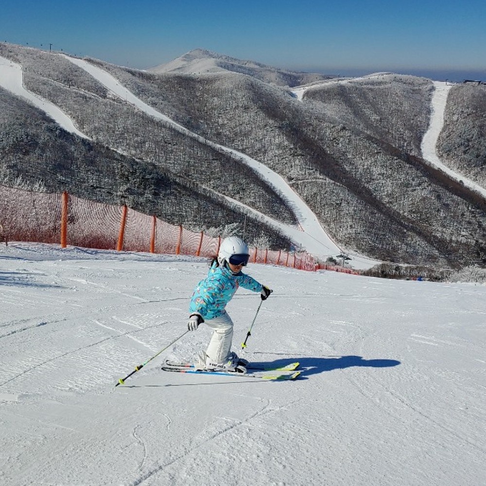 동강래프팅 하이원리조트 스키강습 보드강습 4시간 강습권 1인~4인