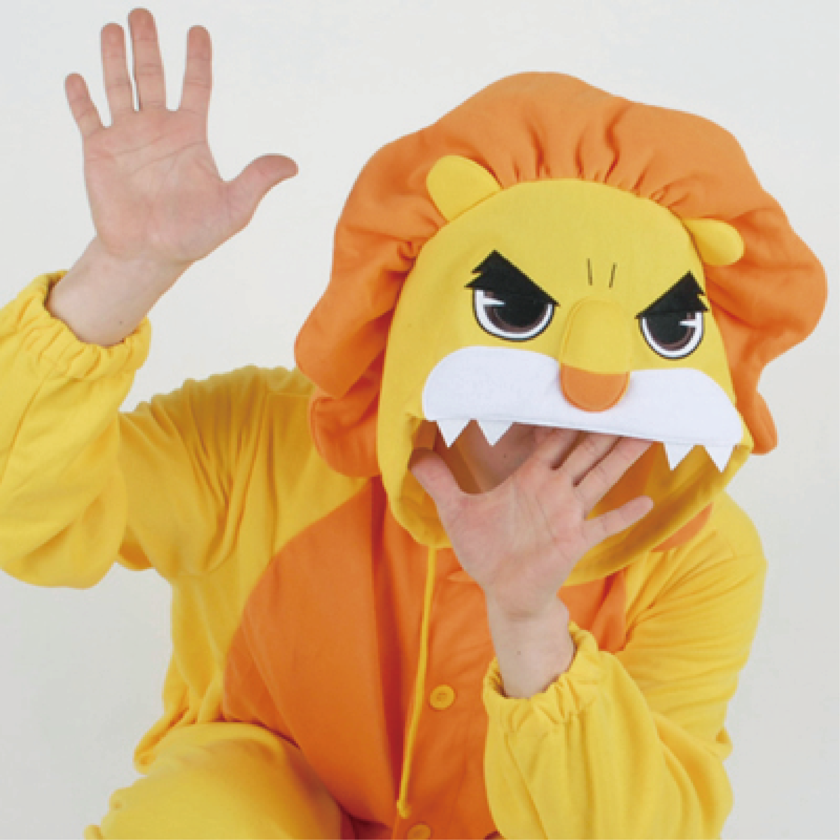 킹왕짱 황금사자 동물잠옷 파자마파티 사계절용