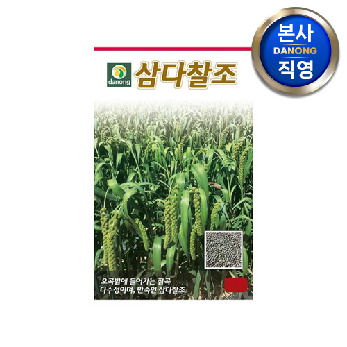 다농 삼다찰 (차)조 씨앗 1kg . 야채 채소 텃밭 파종 재배 주말 농장 씨 종자.