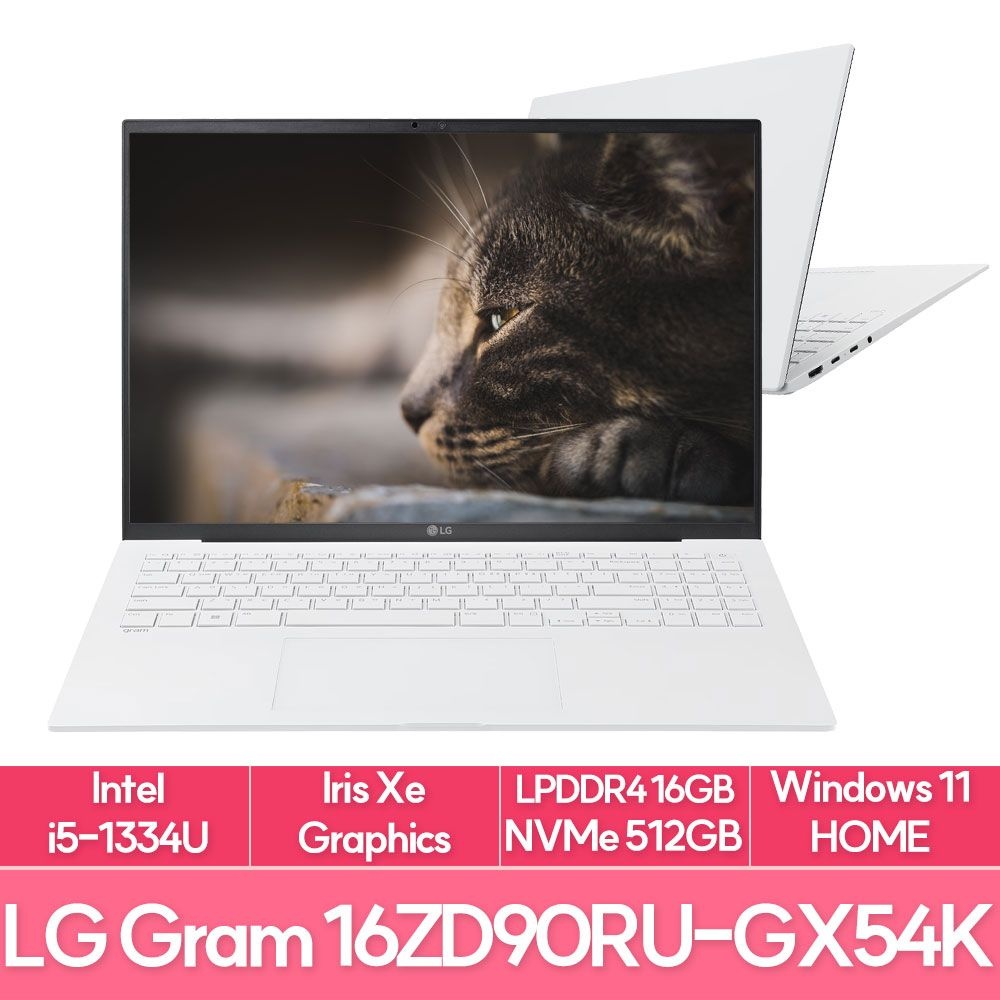 LG전자 그램16 16ZD90RU-GX54K 인텔i5 램16G NVMe256G+256G추가 WIN11 사무용 대학생 노트북 추천 EU