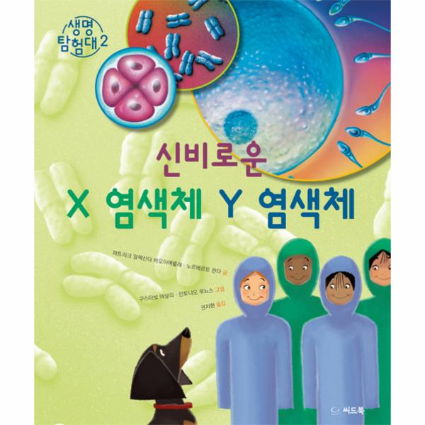 신비로운 X 염색체 Y 염색체