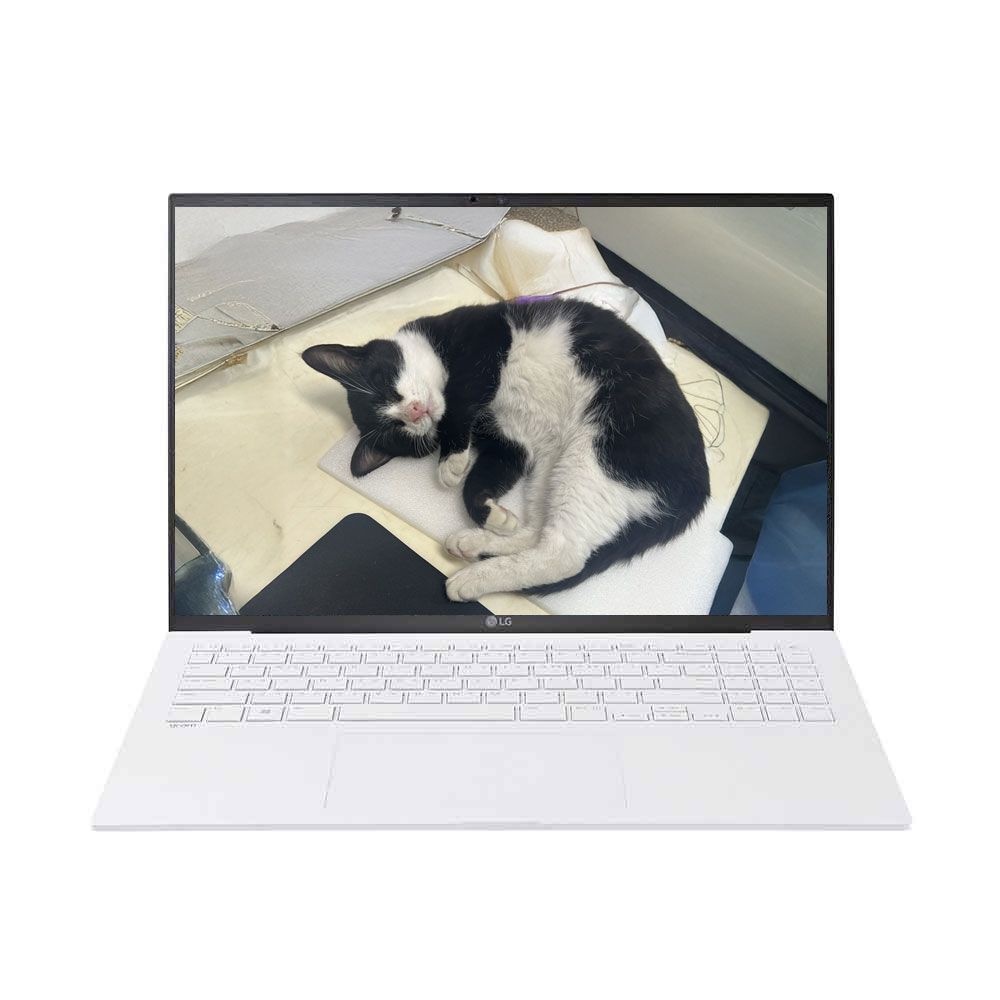 LG전자 [중고] LG전자 그램 16Z90P 광시야각 16인치 i5-1135G7/16G/NVMe 1TB/Iris Xe/Win11 고사양 노트북