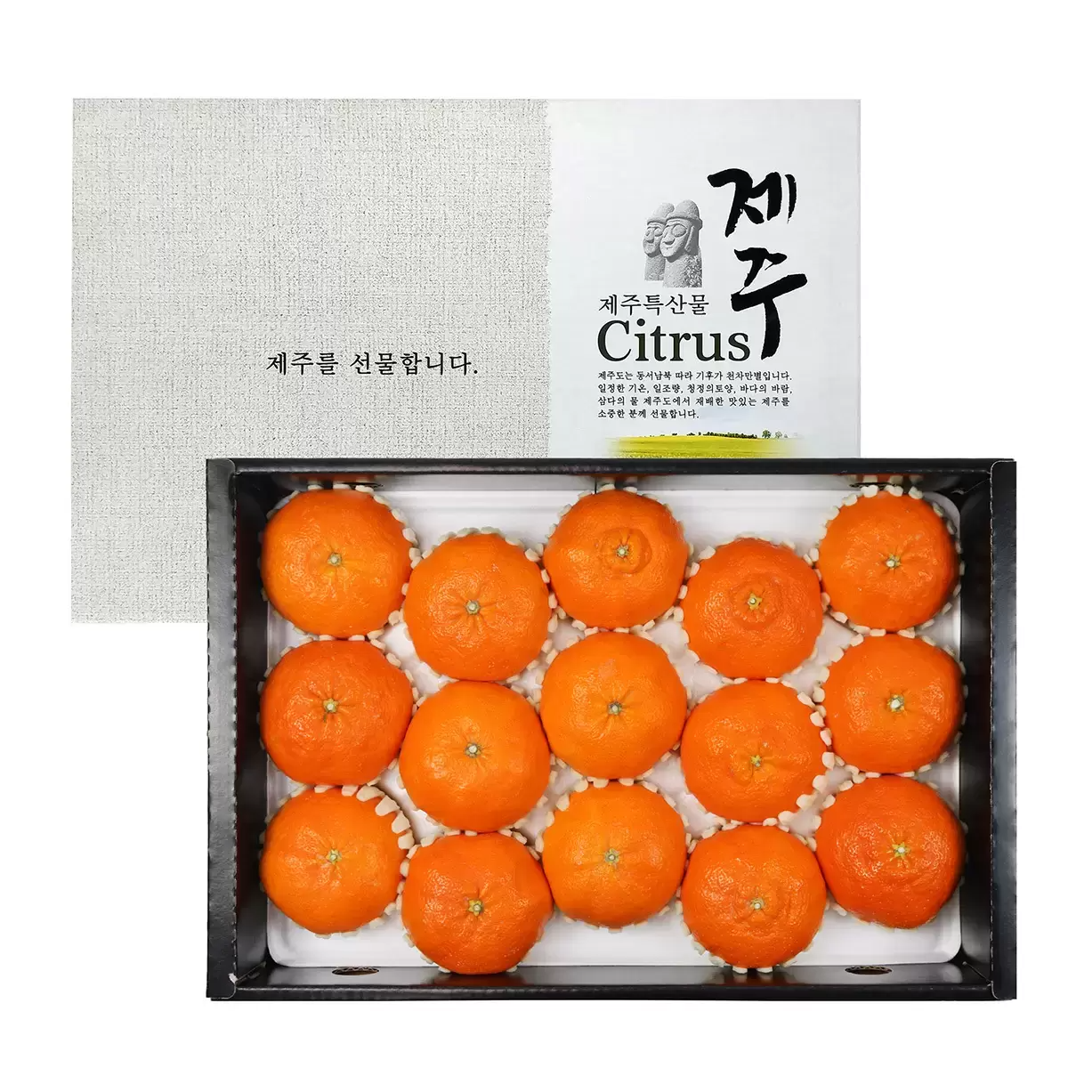 [선물세트] 코스트코 제주 레드향 선물세트5kg(10~18입) 과일 명절 추석 설날 감사 선물세트