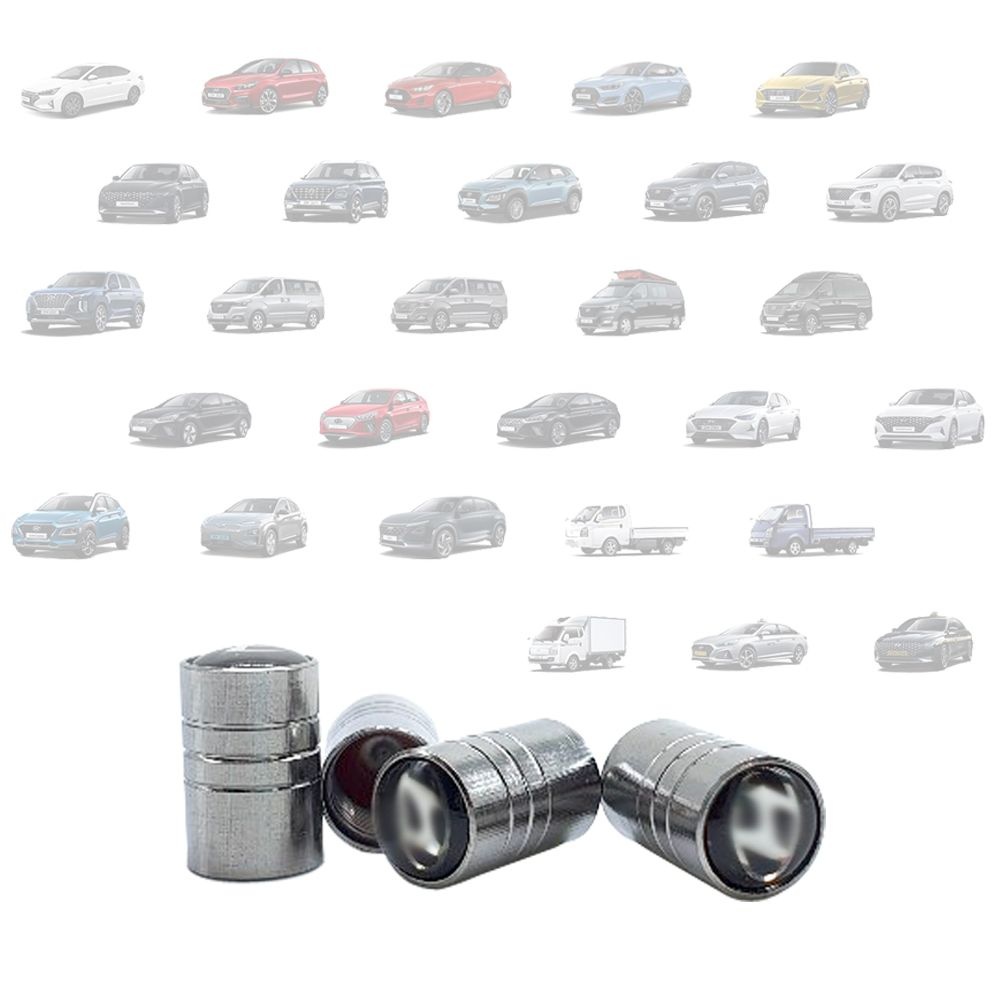 에이링크 에이링크 현대차 베뉴 투싼 싼타페 쏘나타 아반떼 그랜져 호환 타이어캡 밸브캡 튜닝 4개 x 1세트 TIR-C-H