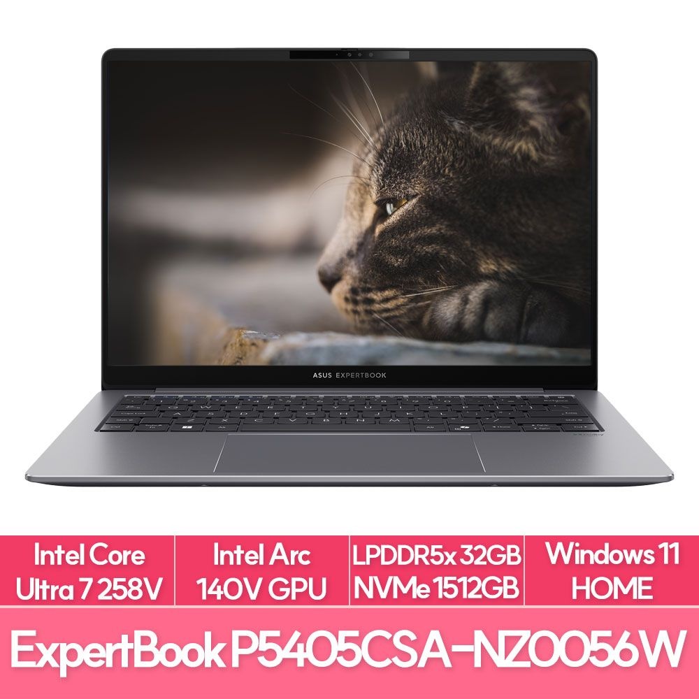 ASUS ExpertBook P5 P5405CSA-NZ0056W 인텔 루나레이크 울트라7 램32G NVMe1TB+512G추가 전문가용 노트북 추천 EU