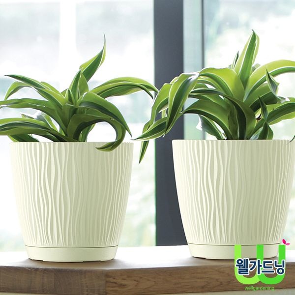 웰가드닝 Prosperplast 샌디 P 화분 (받침포함)