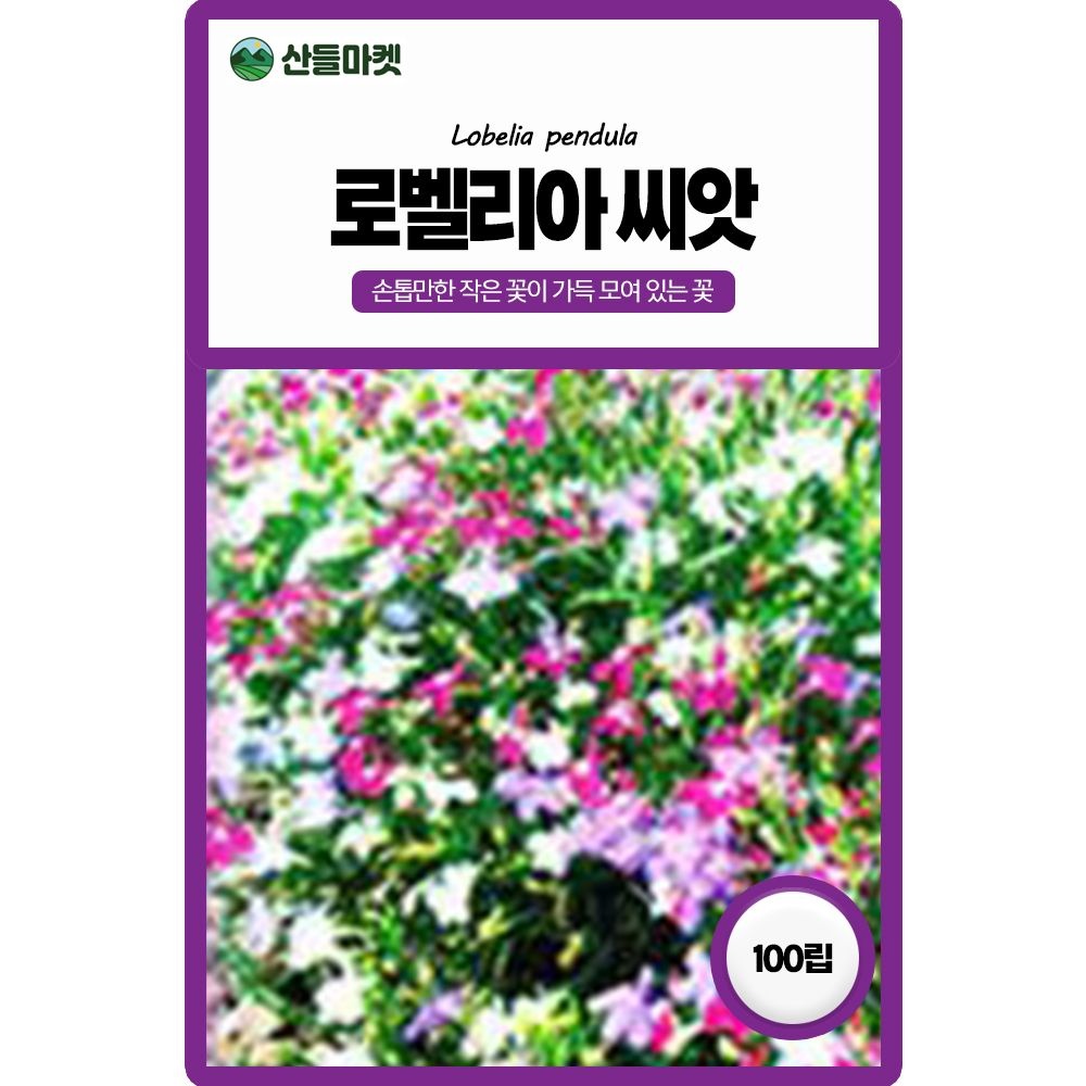 산들마켓 로벨리아 꽃씨앗 100립 햇빛을 좋아하고 부드러운 느낌의 일년생 꽃씨 종자