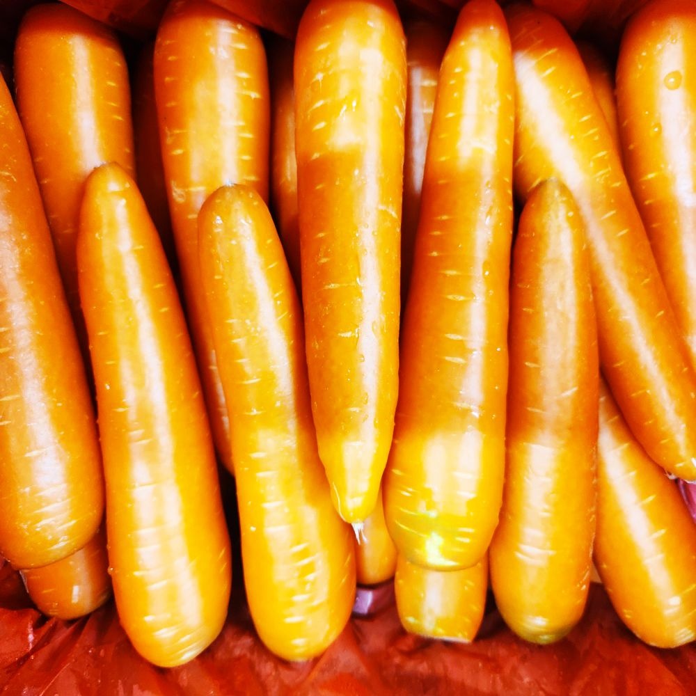 [직수입/당일발송] 수입산 세척당근 신선한 당근 쥬스용 라페 1kg,3kg,5kg,10kg