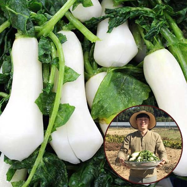 [오늘출발] 신선배송 전라도식 절임알타리무3kg