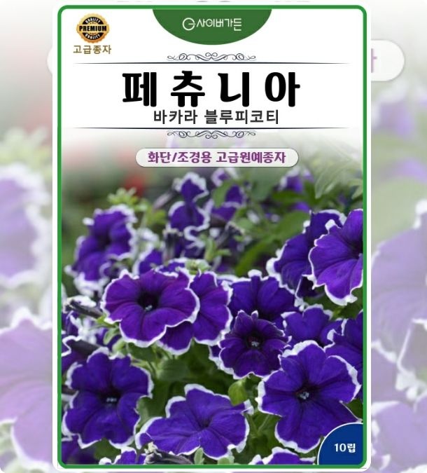 페츄니아 바카라 블루피코티 10립 텃밭가꾸기 반려식물 월동꽃씨 체험학습 다년생