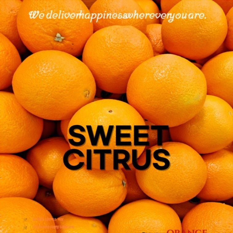 주아농원 퓨어스펙 블랙라벨 고당도 오렌지 17kg외 대용량 중과(190g내외) 특집