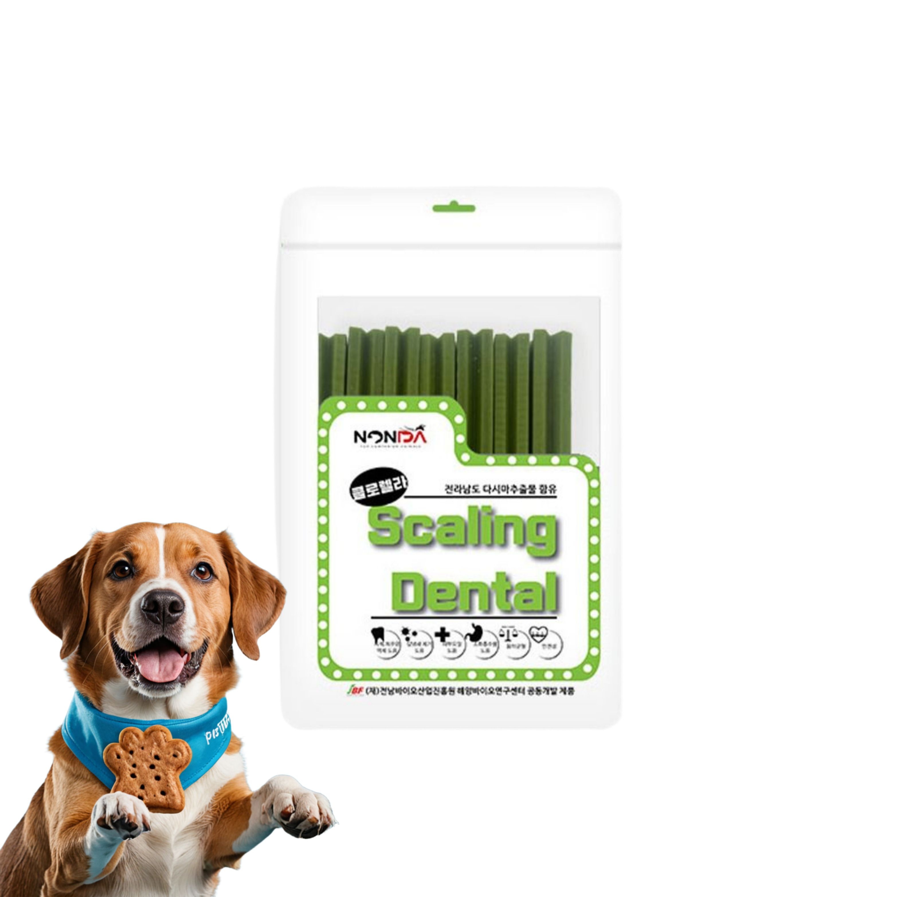 강아지 스케일링 덴탈껌 클로렐라 치석제거 양치껌
