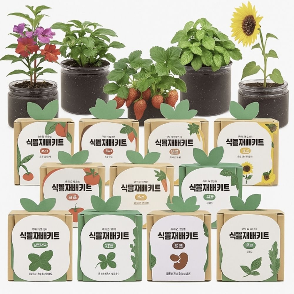 집에서 하는 식물재배 다양한 종류의 식물 키트 마음이 정화되는 식물키우기