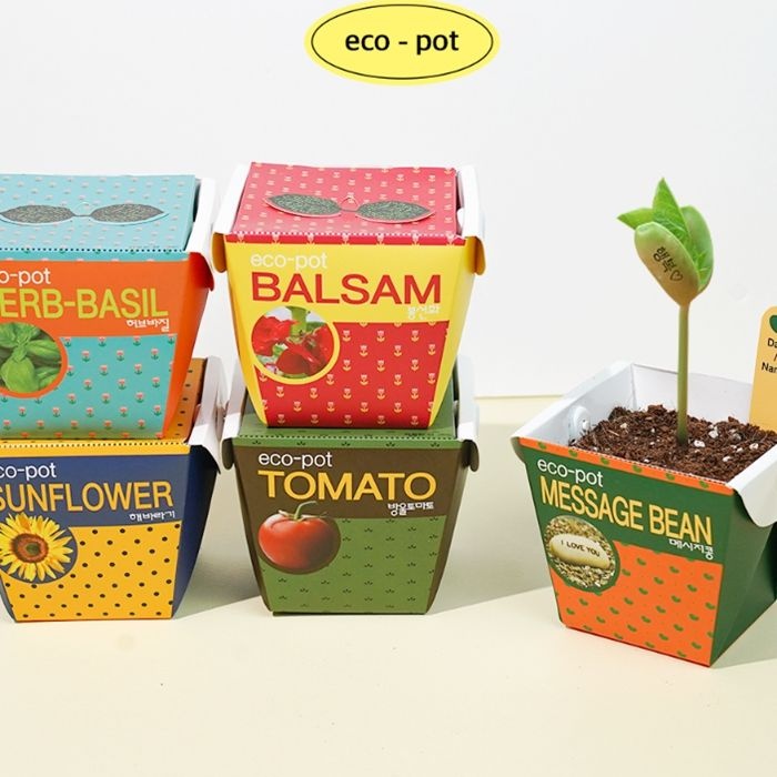 [꿈쟁이]종이화분 에코팟 6종 묶음/식물키우기,자연화분,올인원키트