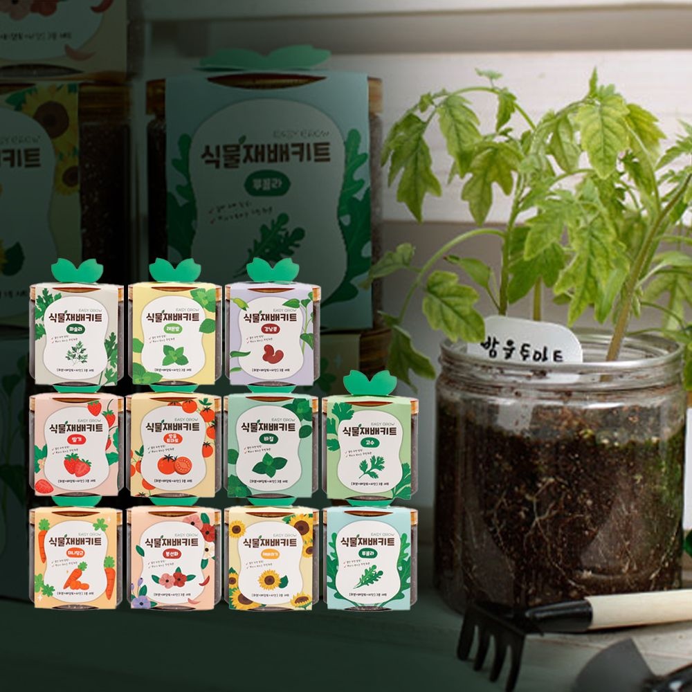 [협력사]미니텃밭 식물재배키트 방울토마토 딸기 레몬밤 고수 바질 등 11종 키우기