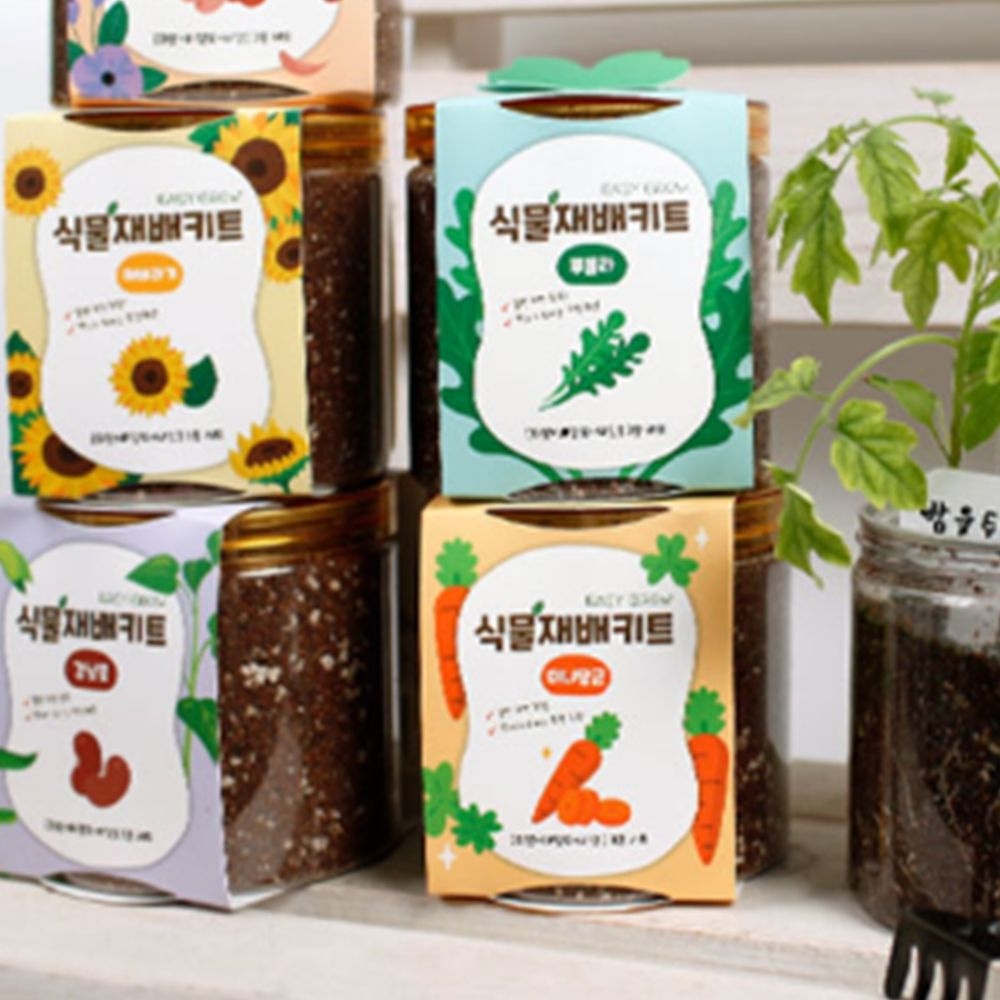 [주식회사 반디]식물재배키트 바질 딸기 고수 루꼴라 강낭콩 레몬밤