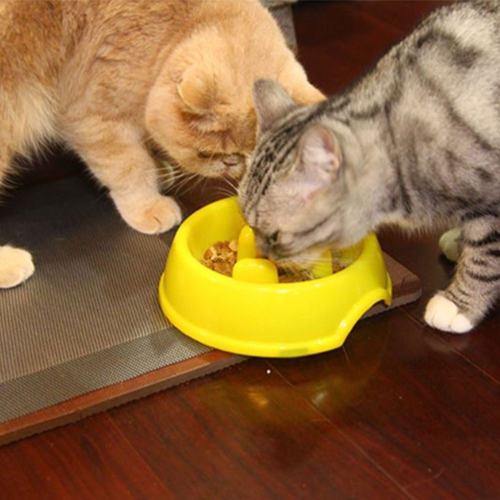 패션포럼 5개세트 강아지 고양이 슬로우 식기 급체 과식방지 애견 애묘 반려동물 건강 식습관 밥그릇