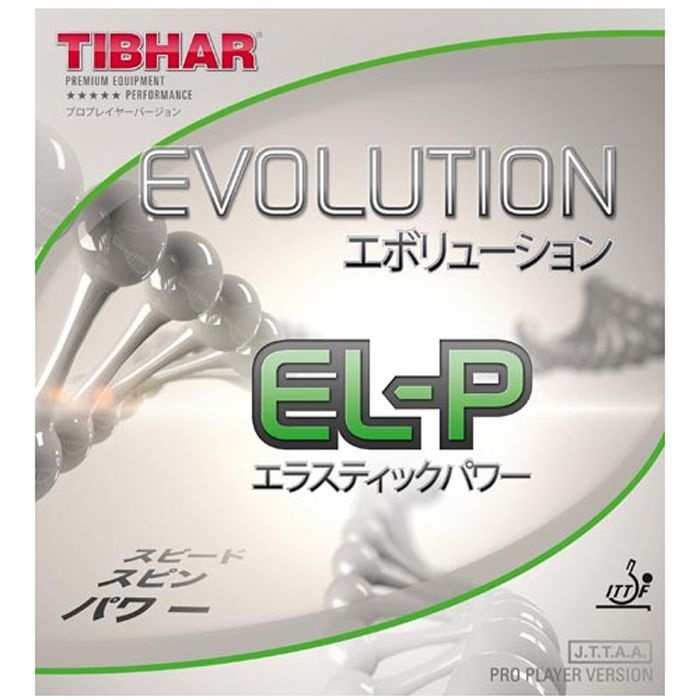 티바 - 에볼루션 EL-P(EVOLUTION EL-P)탁구러버/탁구용품/판매량1위/스테디 셀러