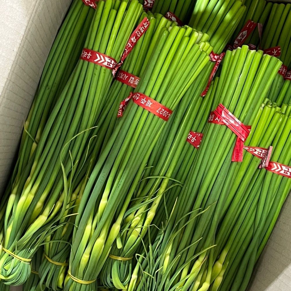 [오늘출발] 국산 햇마늘쫑 500g 1kg