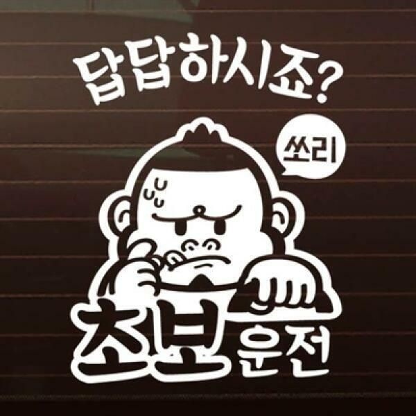 (현대Hmall) 아트박스/제제데코 초보답답_싸나이 [자동차스티커/초보운전스티커]