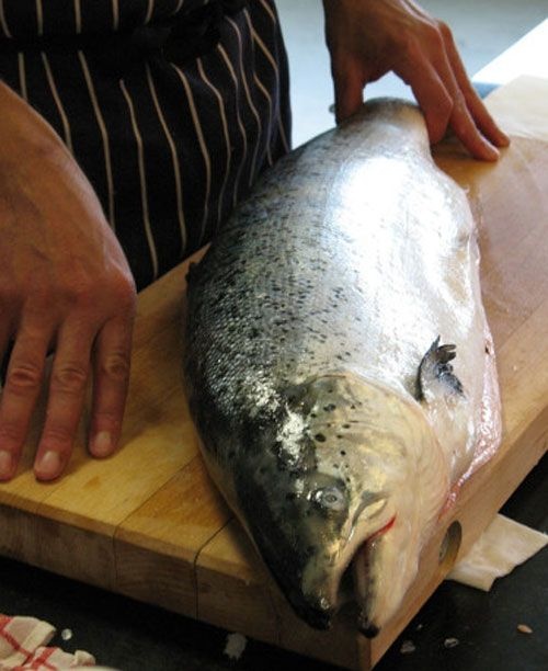 바다사나이 생연어 연어한마리 6kg~7kg 연어회 연어스테이크