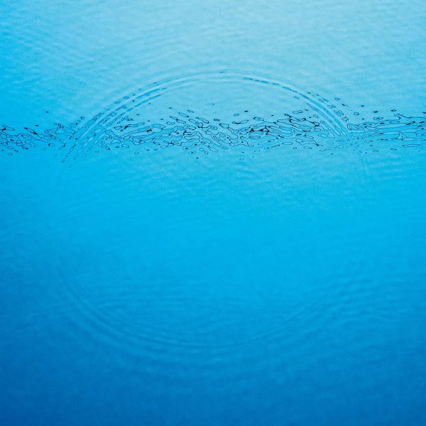 [해외] Caribou Artist Vinyl 비닐 LP 레코드 Suddenly 미국 발송