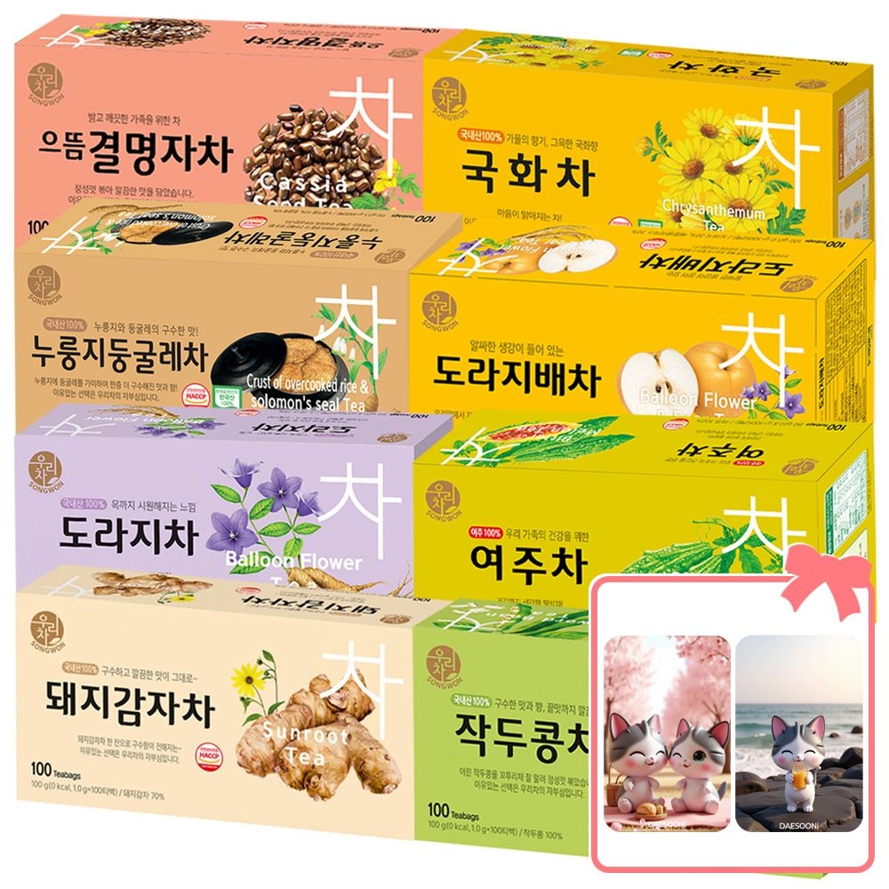 [온누리상품] 송원식품 송원 티백차 100T 모음전 돼지감자 국화 도라지차 + 대순이 캐릭터 포토카드