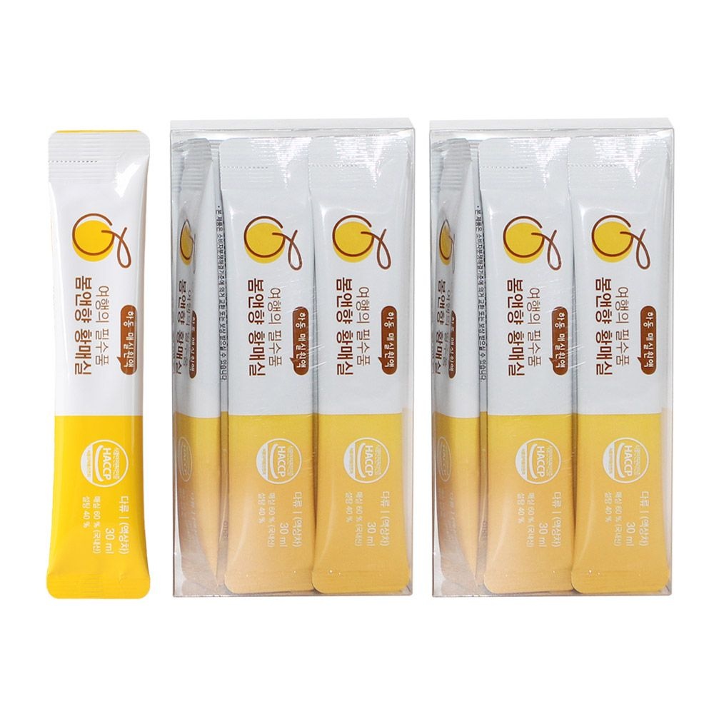 지구마을 지리산 하동매실 황매실청 매실스틱 30ml 40포