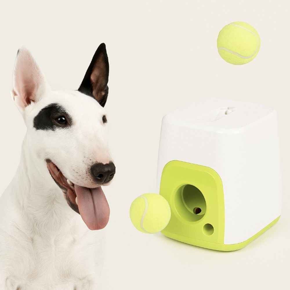 [(주)감씨]강아지 간식 훈련기 공놀이 장난감 자동 급식기 횟수무제한훈련가능