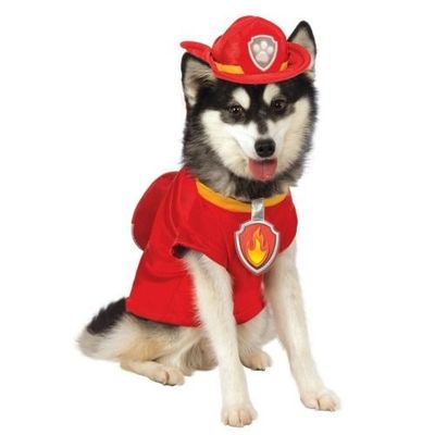 아이들을위한 개 할로윈 의상