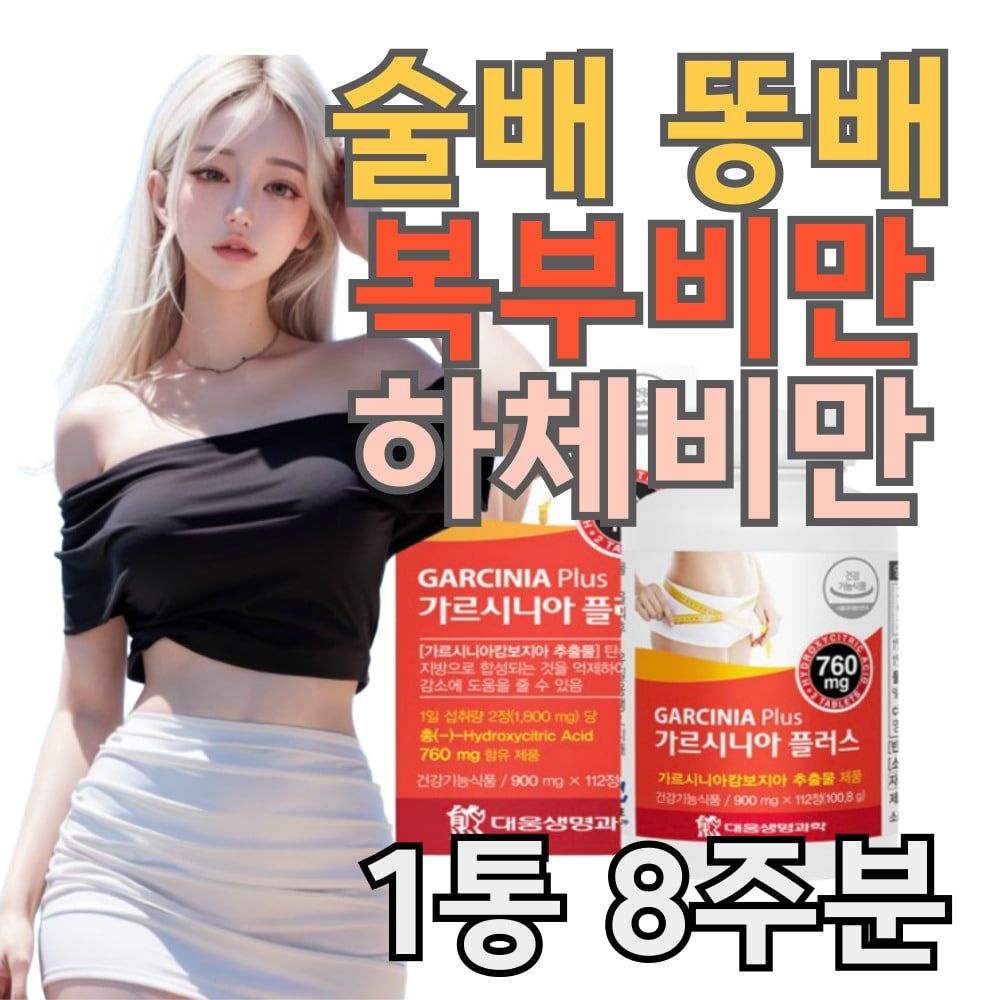 40대 50대 직장인 술배 술살 복부지방 턱살 빼기 관리 옆구리 하체 다이어트 보조제 엘카르니틴 가르시니아 내장